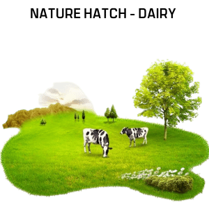 Nature Hatch - Dairy