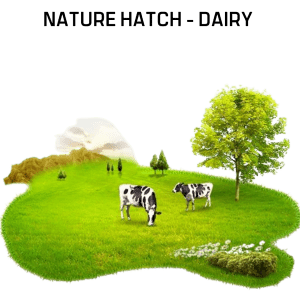 Nature Hatch - Dairy