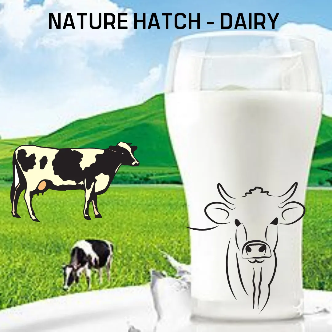 Nature Hatch - Dairy - Image 2