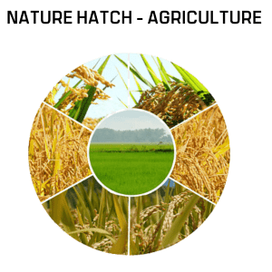 Nature Hatch - Agriculture