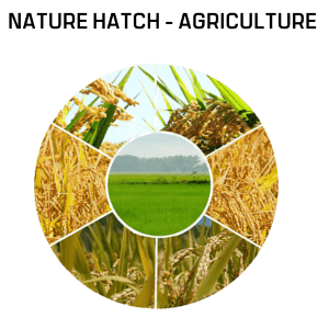 Nature Hatch - Agriculture