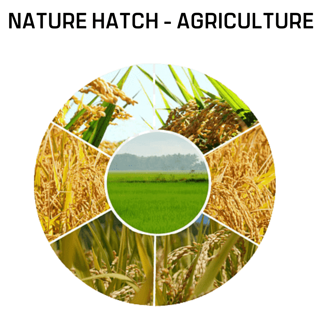 Nature Hatch - Agriculture