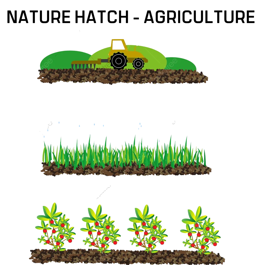 Nature Hatch - Agriculture - Image 3