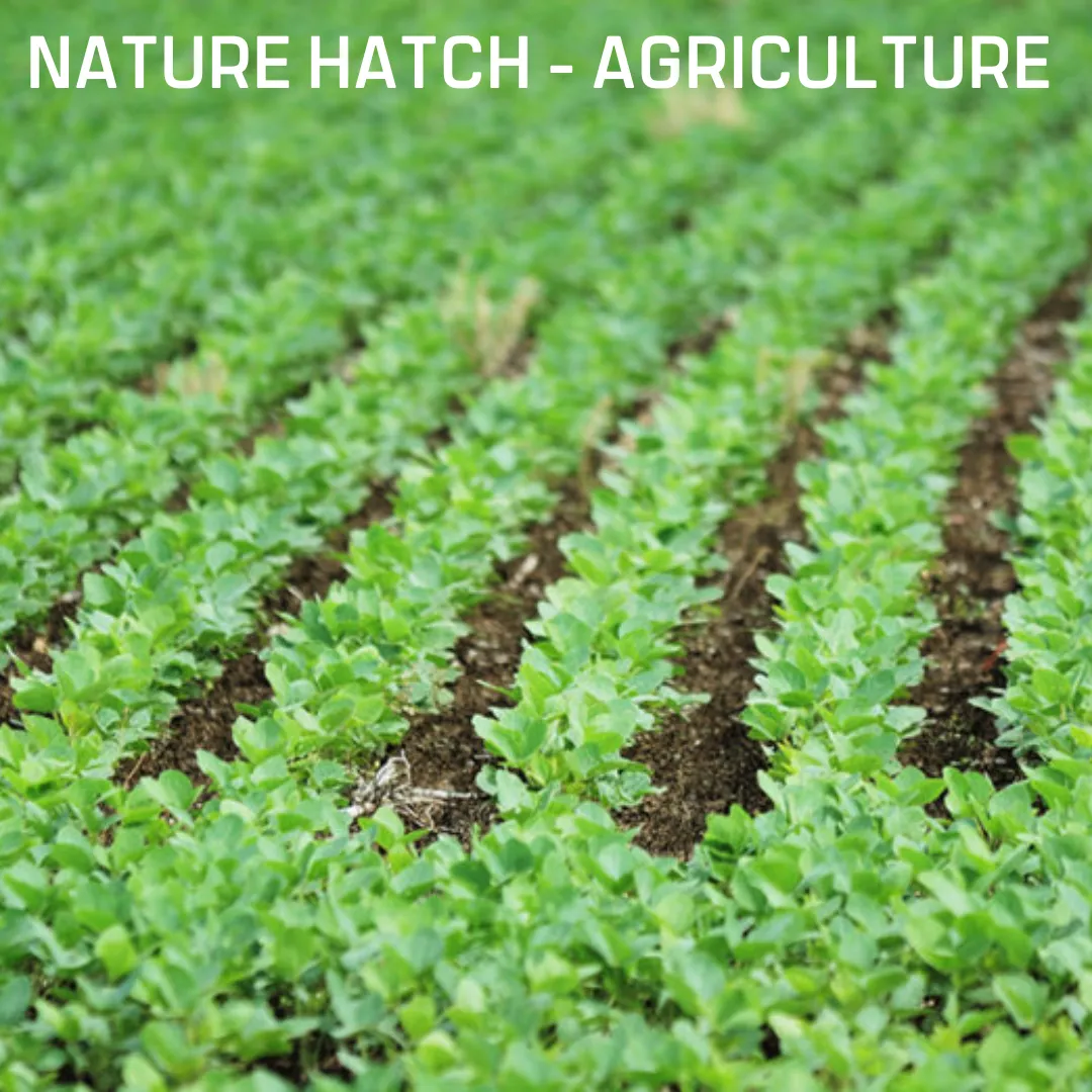 Nature Hatch - Agriculture - Image 2