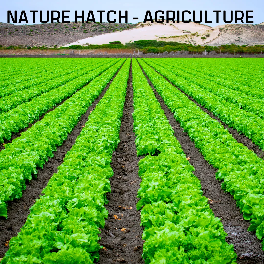 Nature Hatch - Agriculture - Image 5