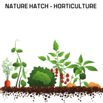 Nature Hatch Horticulture