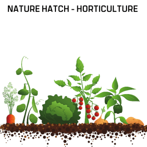 Nature Hatch Horticulture
