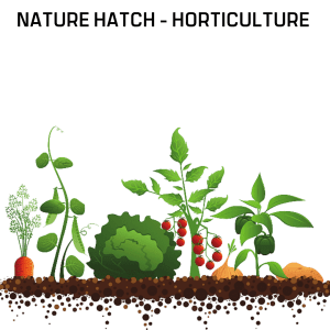 Nature Hatch Horticulture