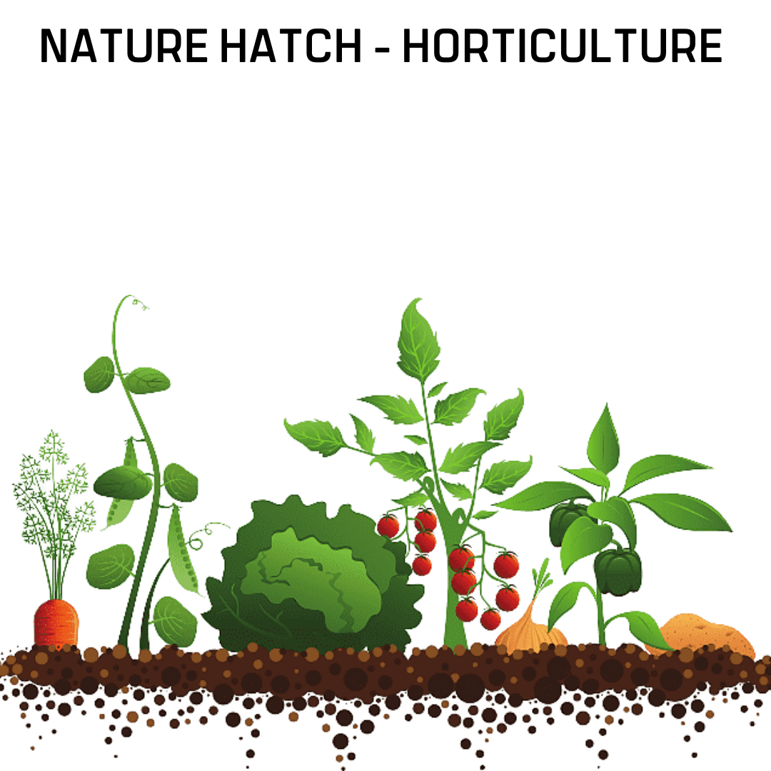 Nature Hatch Horticulture