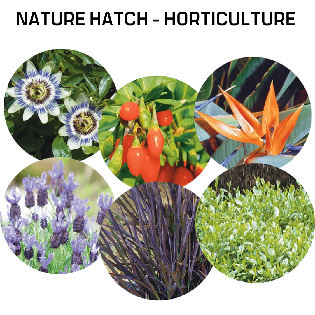 Nature Hatch Horticulture - Image 3