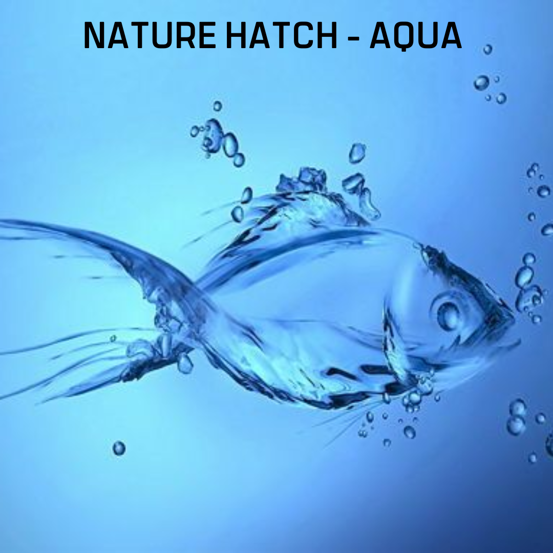 Nature Hatch - AQUA - Image 3