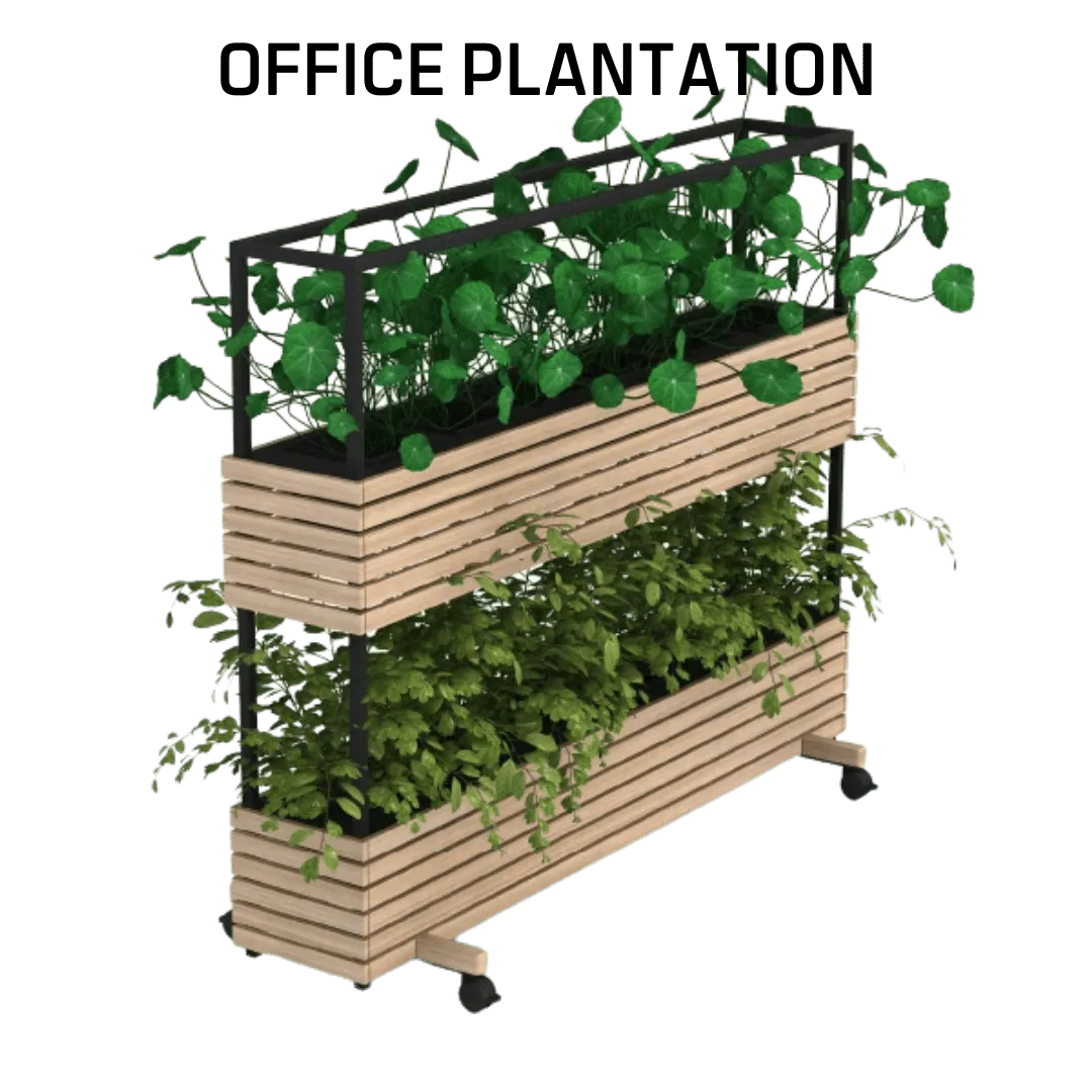 Office Plantation - Image 5