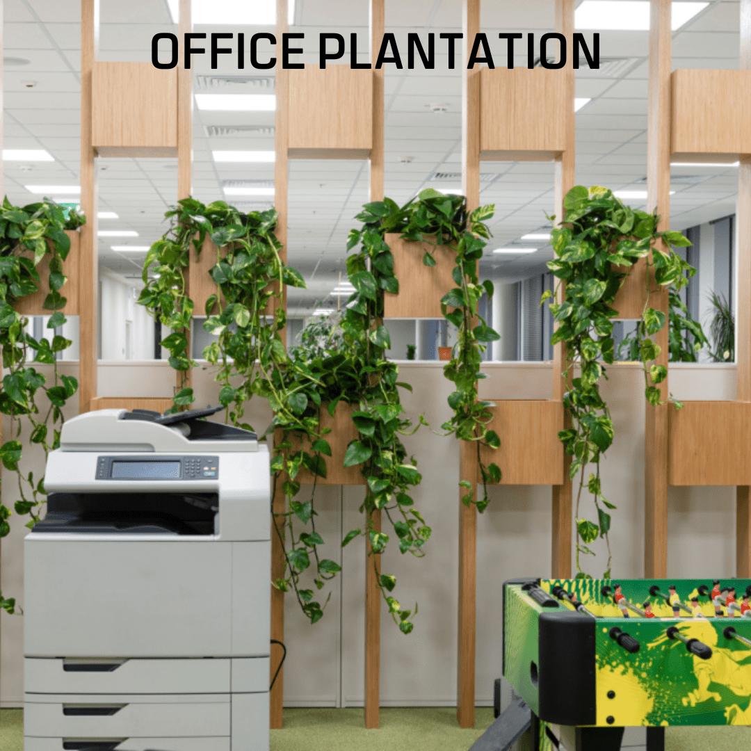 Office Plantation - Image 2