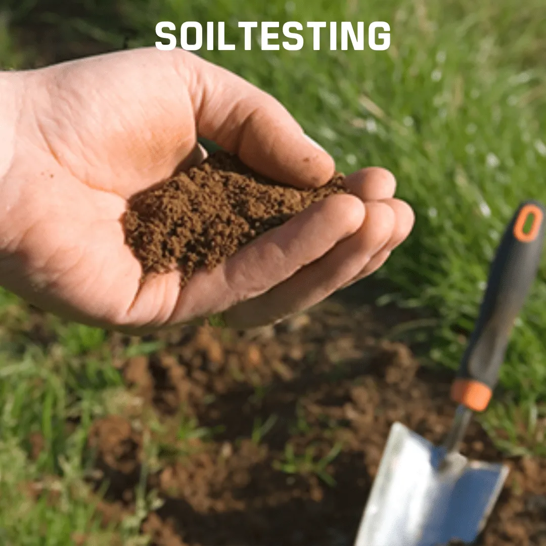 Soil Testing - Image 4