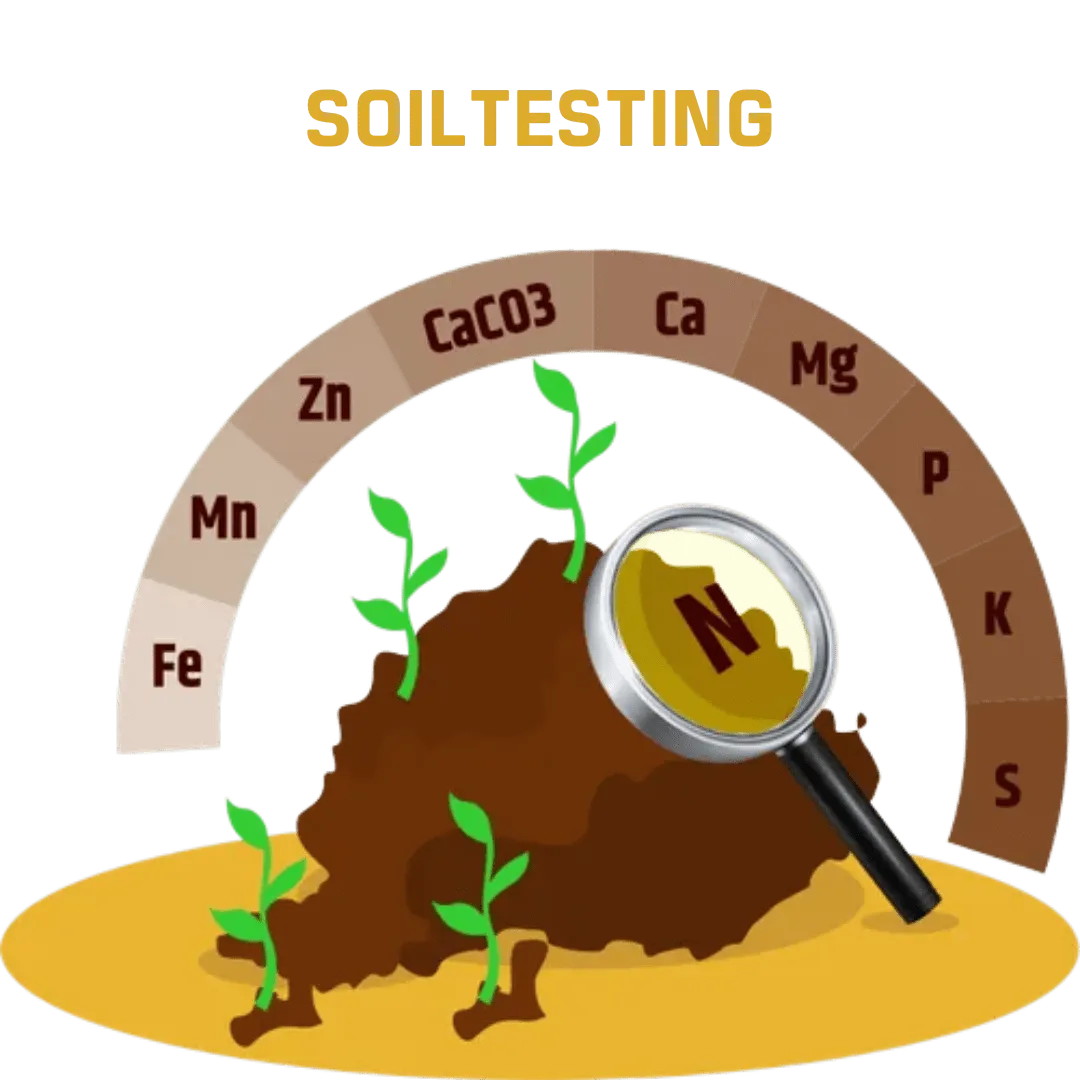 Soil Testing - Image 2
