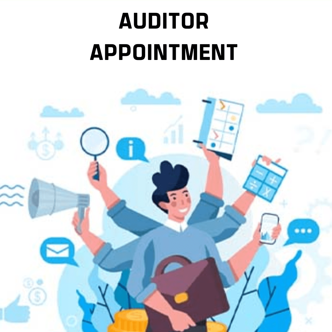Appointment of Auditor - Image 2