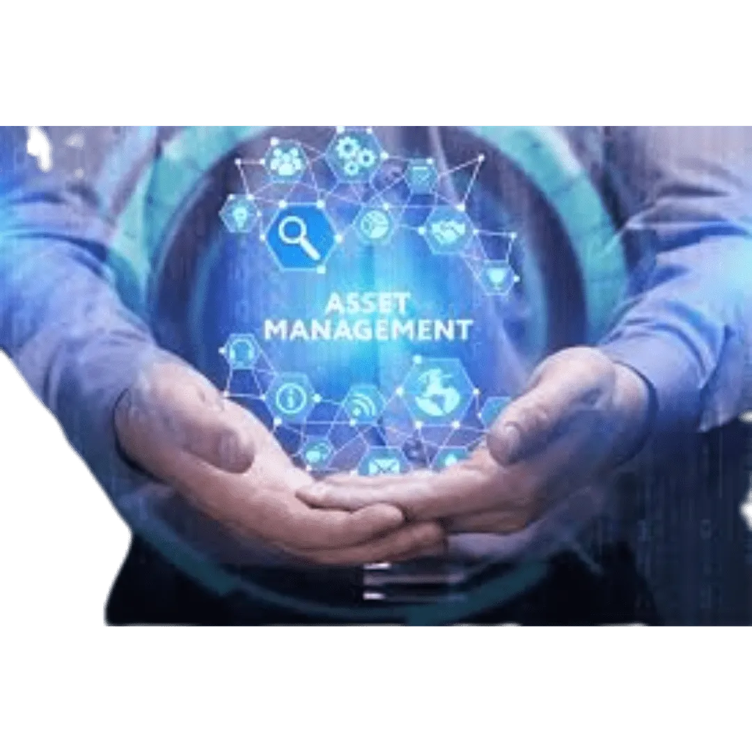 Asset Management - Image 2