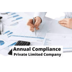 Private Limited Company Annual