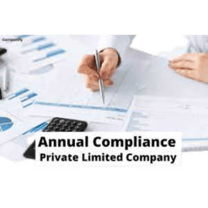 Private Limited Company Annual