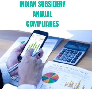 Indian Subsidiary Annual Compliances