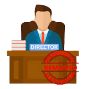 Add or Removal of Director or Change patner