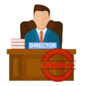 Add or Removal of Director or Change patner