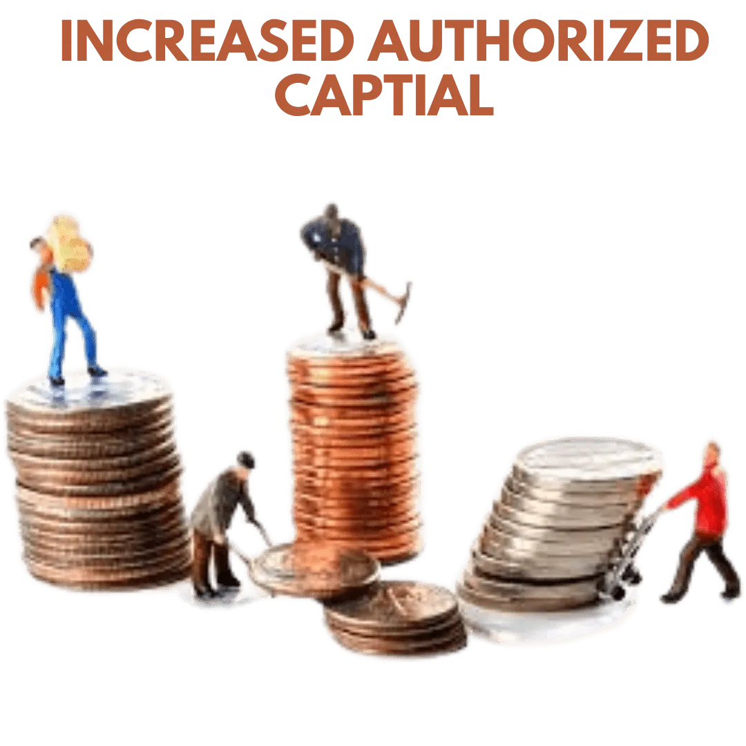Increase Authorized Capital: - Image 2