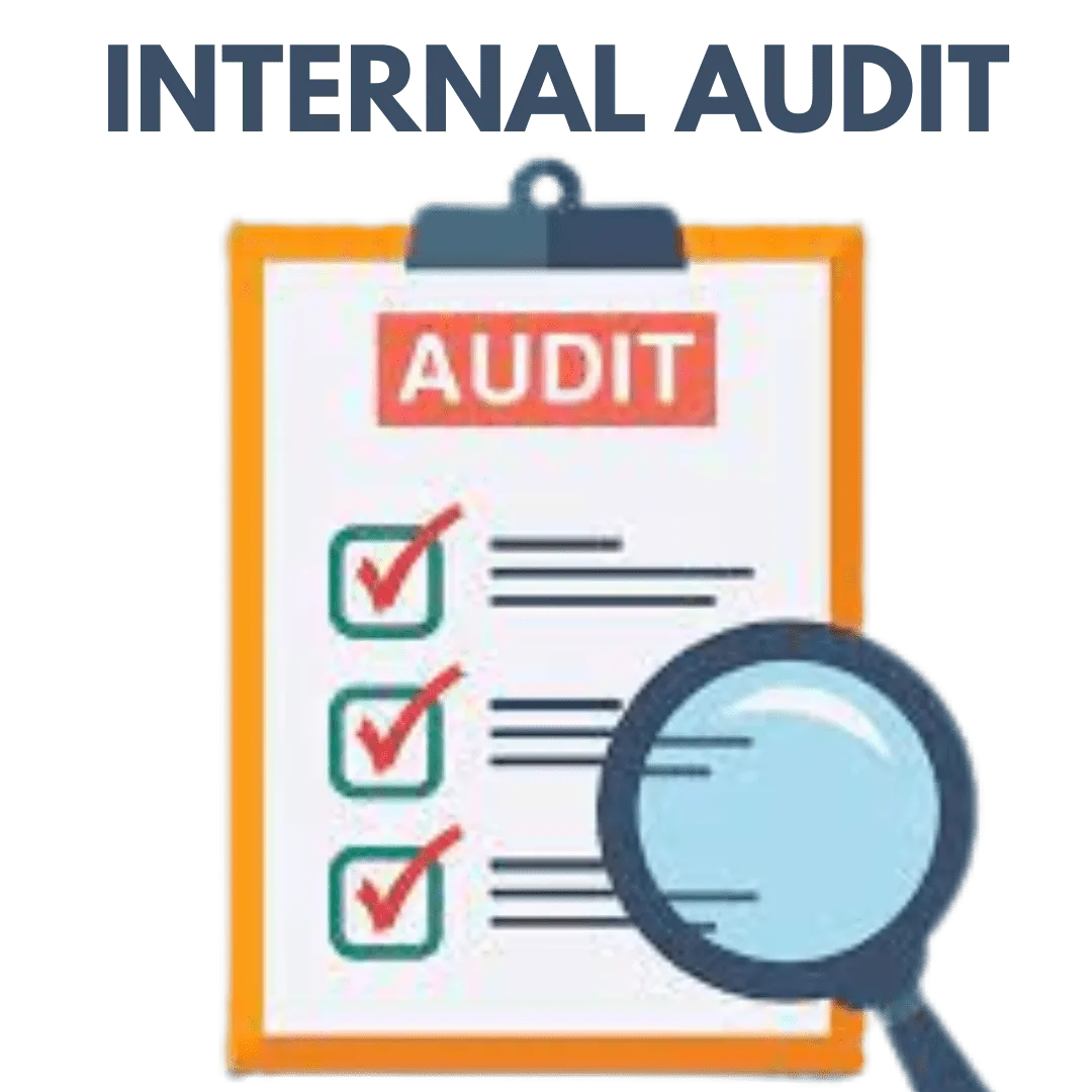 Internal Audit - Image 2