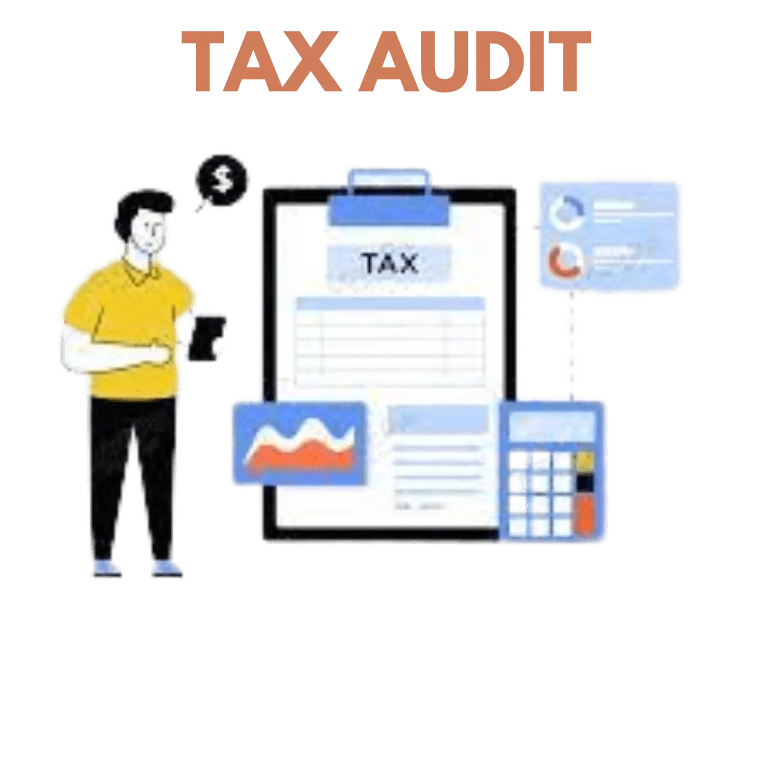 Tax Audit - Image 3