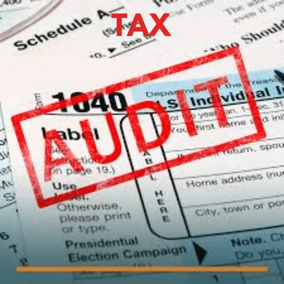 Tax Audit - Image 2