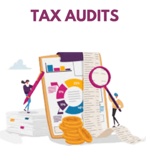 Tax Audit