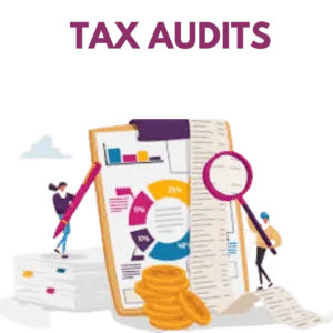Tax Audit