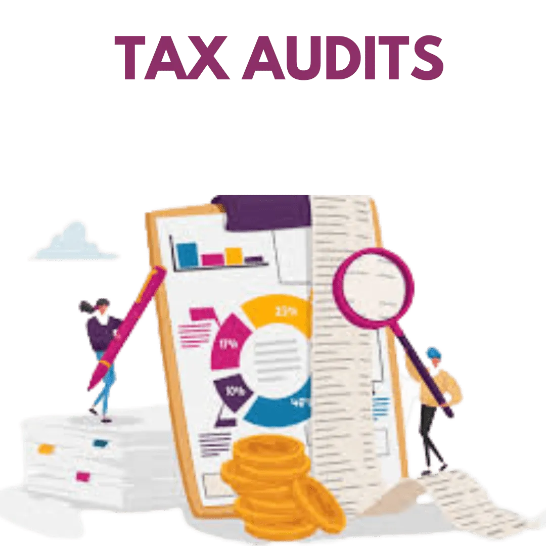 Tax Audit