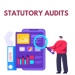 Statutory Audit