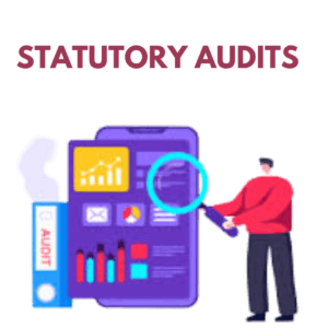 Statutory Audit