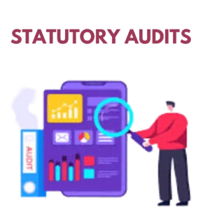 Statutory Audit