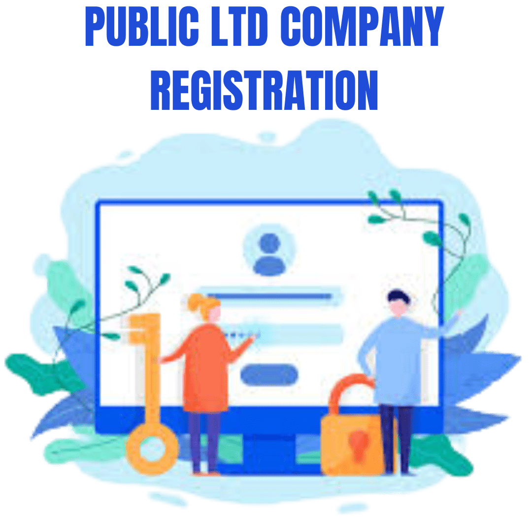 Public LTD Company Registration - Image 3