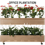 Office Plantation