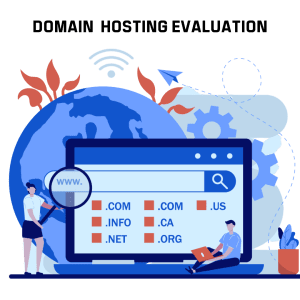 Domain Hosting Evaluation