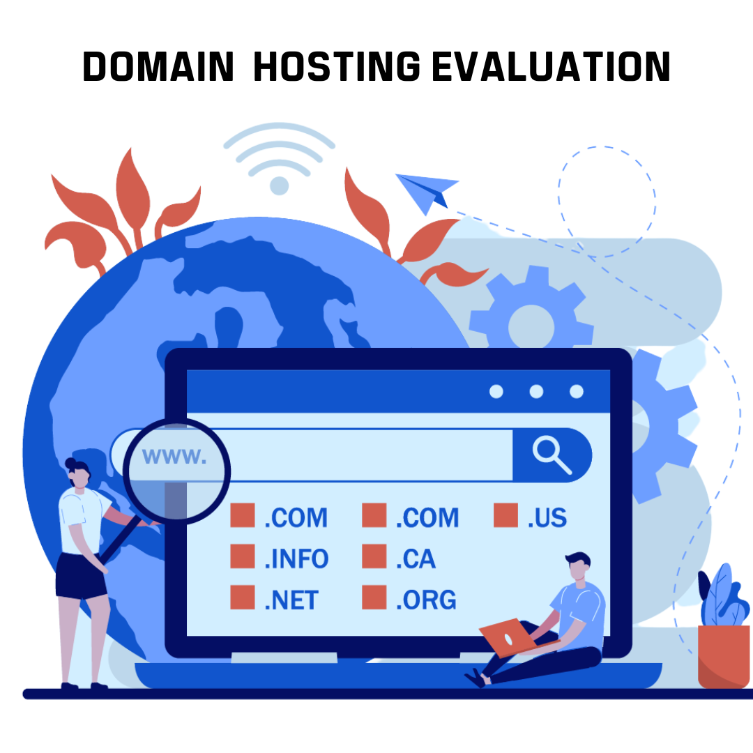 Domain Hosting Evaluation