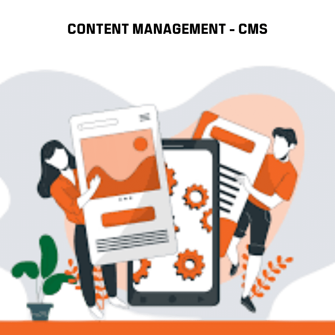 Content Management (CMS)