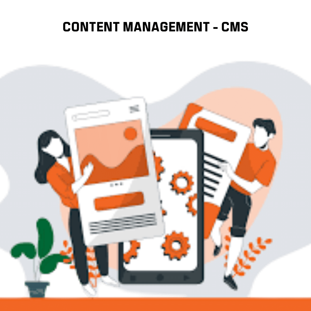 Content Management (CMS)